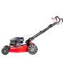 Газонокосилка бензиновая самоходная с двигателем FUBAG Honda FPL 56 SMH в Биробиджане фото