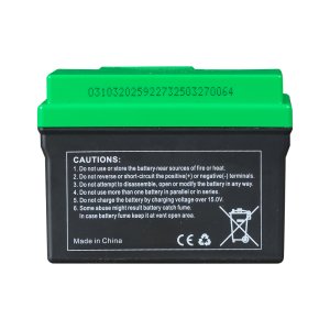 Аккумулятор FUBAG li-ion 3Ah для инверторного генератора TI 11000 A ES (арт. 646211) купить в Биробиджане