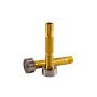 FUBAG Цанга c газовой линзой ф3.2 FB TIG 240-550W (2 шт.) в Биробиджане фото